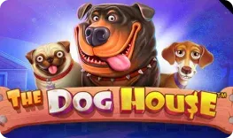 Holly Win – The Dog House